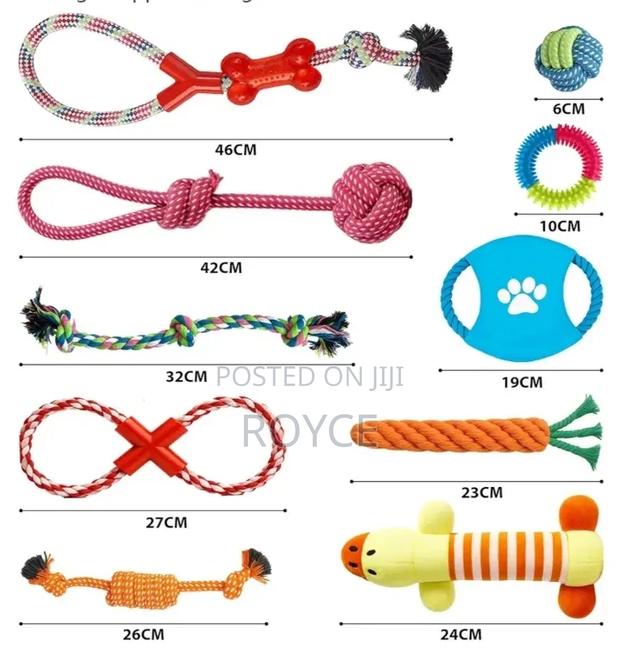 10pc Dog Chew Toy Set - thumbnail 5