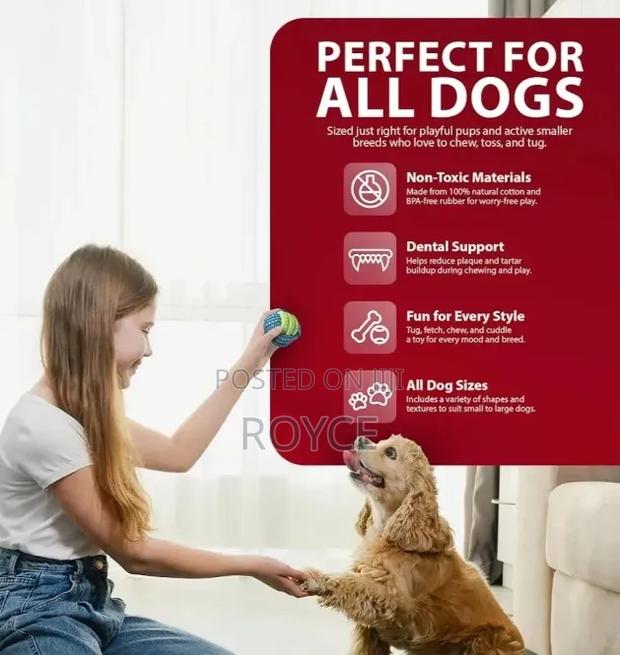 10pc Dog Chew Toy Set - thumbnail 7