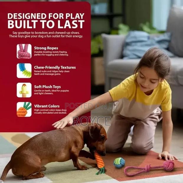 10pc Dog Chew Toy Set - thumbnail 8