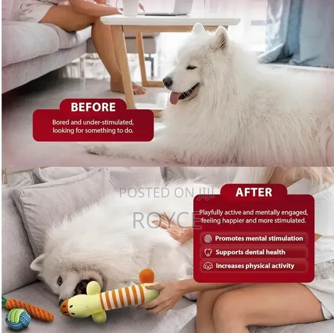10pc Dog Chew Toy Set