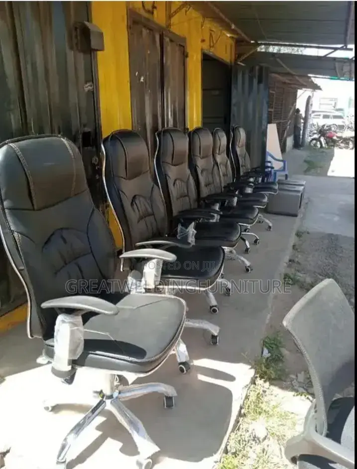 Ergonomic Leather Chair