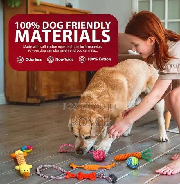 10pc Dog Chew Toy Set - thumbnail 10