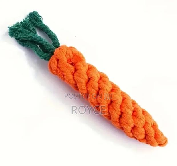 10pc Dog Chew Toy Set - thumbnail 4