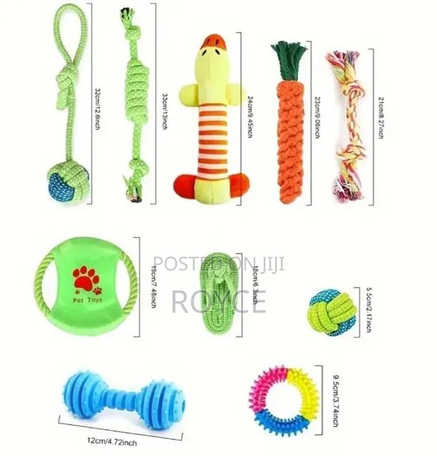 10pc Dog Chew Toy Set - thumbnail 12
