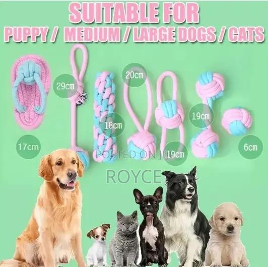 12pc Dog Chew Set - thumbnail 3