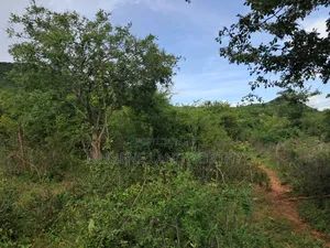 Embu County, Kiambere 3 Acres Grazing Land