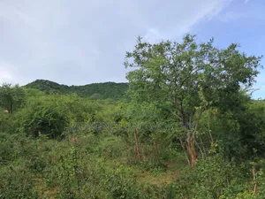 Embu County, Kiambere 3 Acres Grazing Land