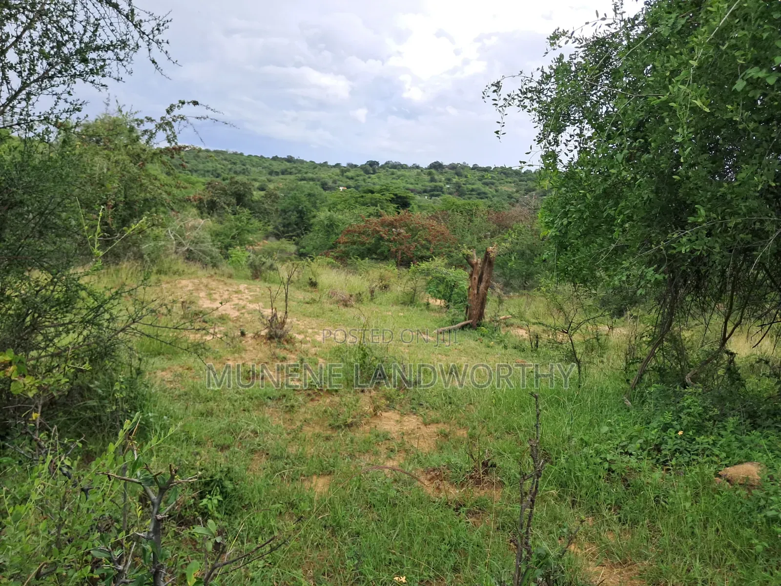 Embu County, Kiambere 3 Acres Grazing Land