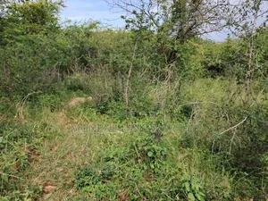 Embu County, Kiambere 3 Acres Grazing Land