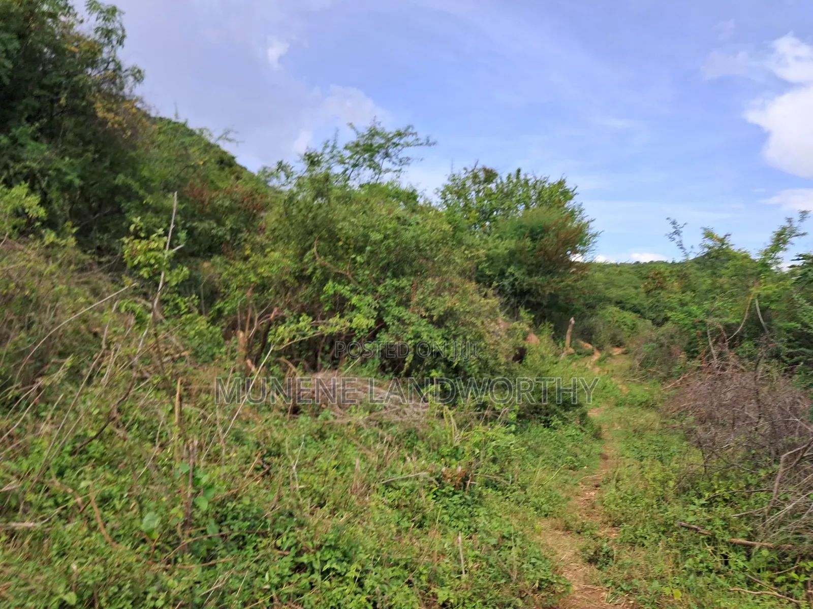 Embu County, Kiambere 3 Acres Grazing Land