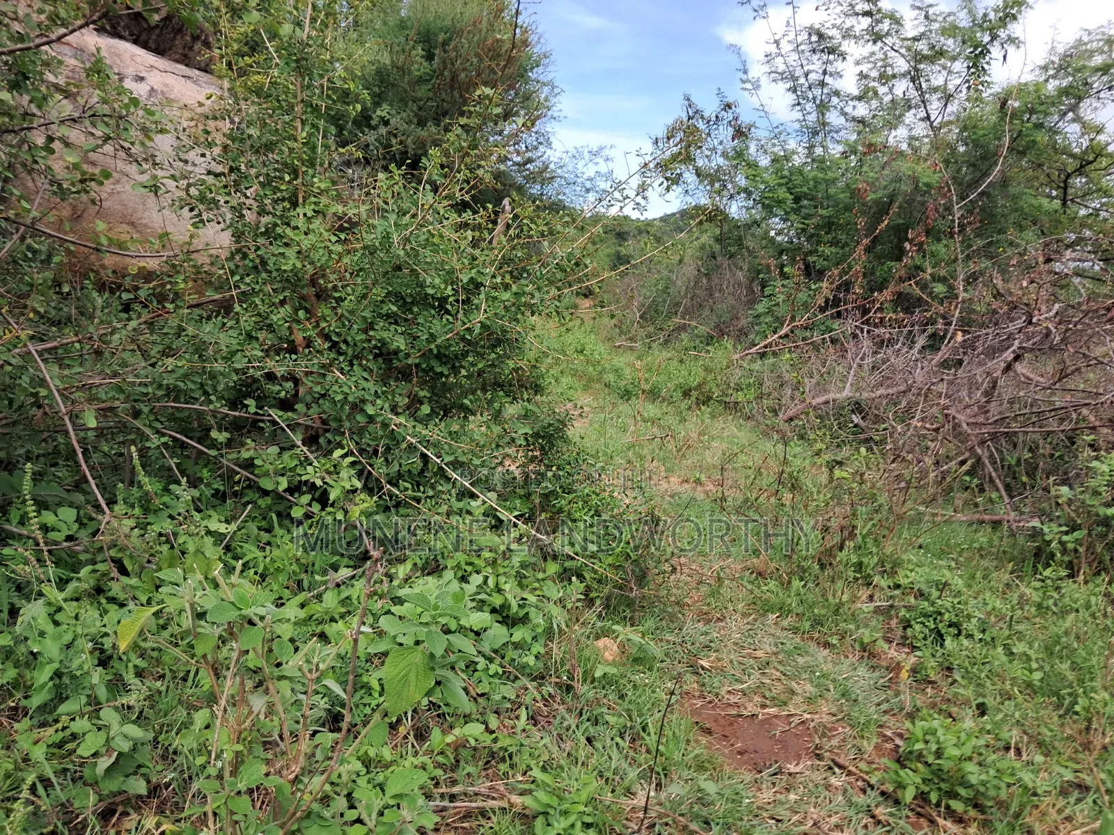 Embu County, Kiambere 3 Acres Grazing Land