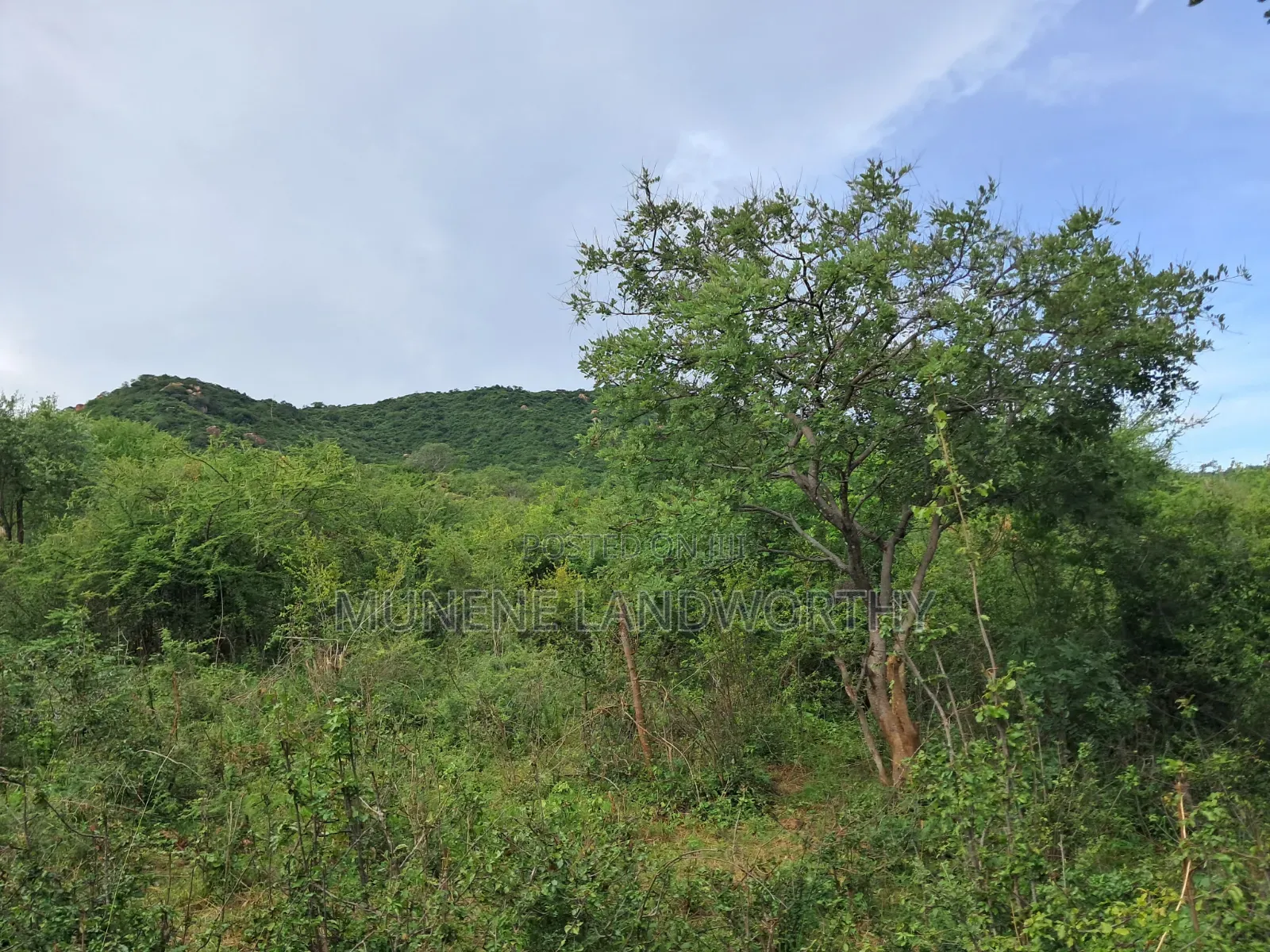 Embu County, Kiambere 3 Acres Grazing Land