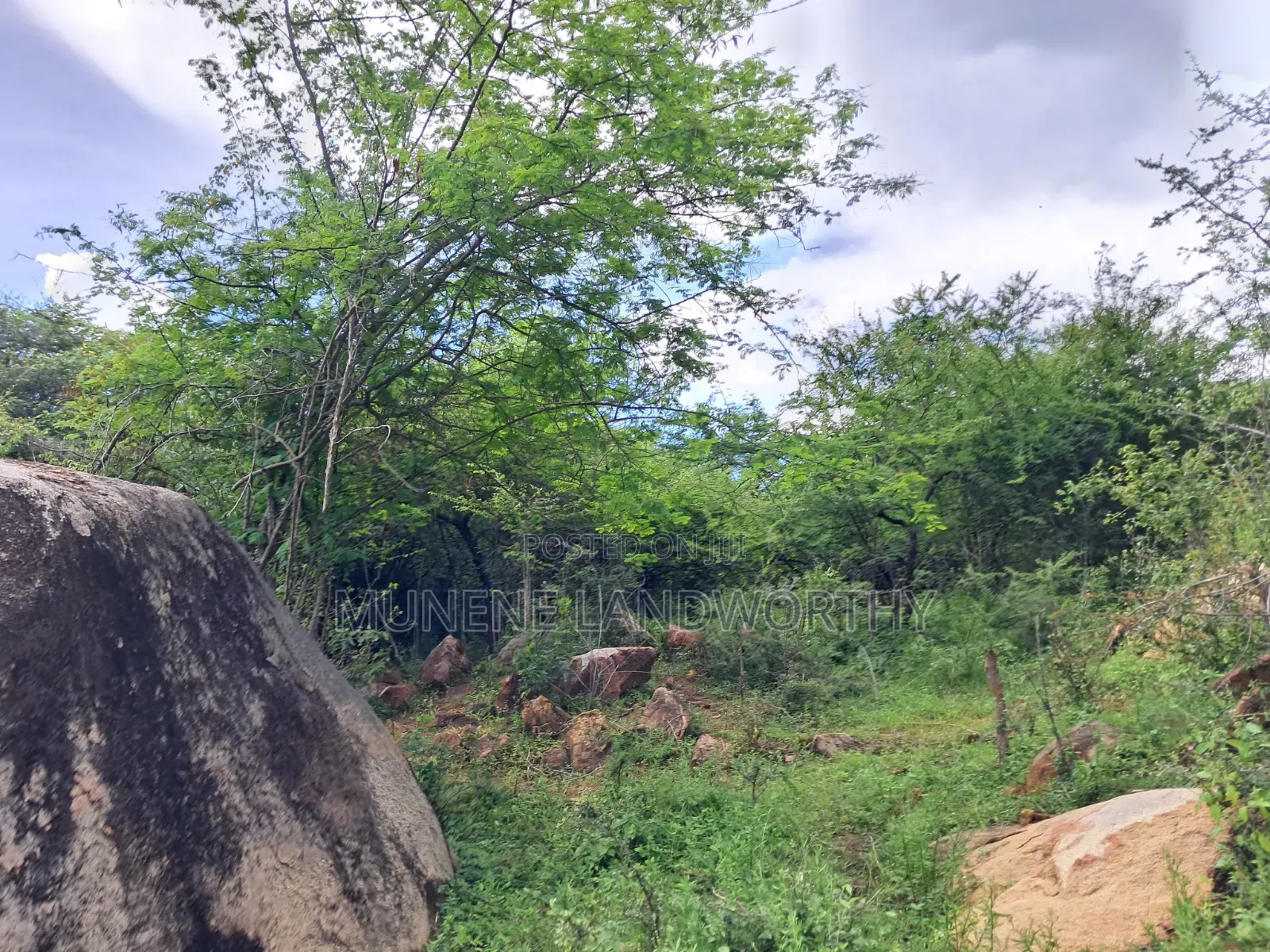 Embu County, Kiambere 3 Acres Grazing Land