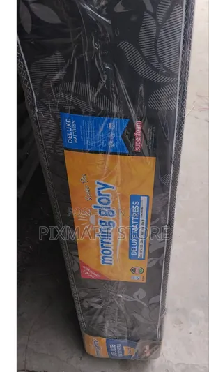 4 by 6 Fts, 8 Inches Thick, Plain Morning Glory Mattresses