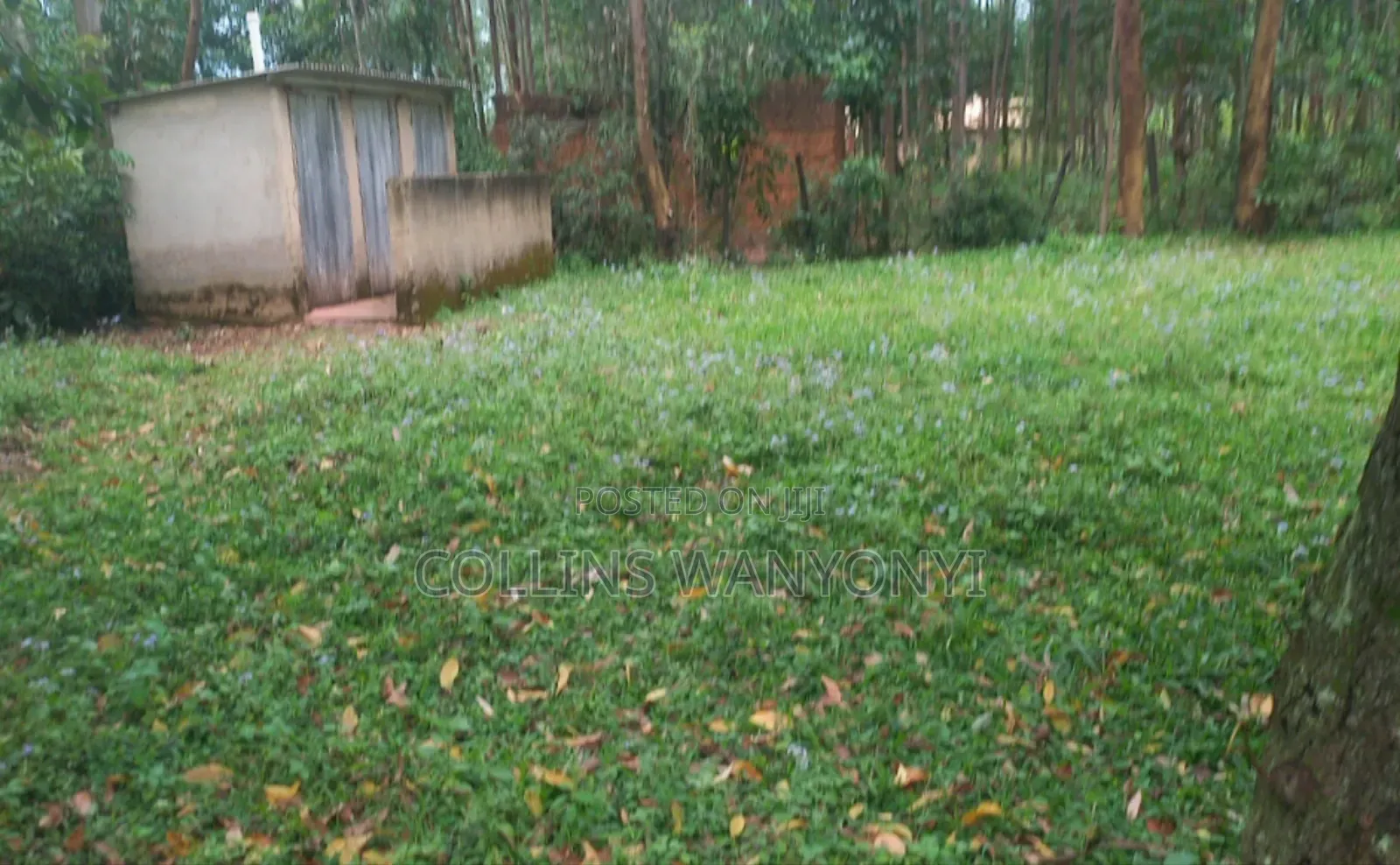 3 Plots for Sale 50by100 Per Plots Direct Transfer Title Bukembe