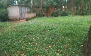 3 Plots for Sale 50by100 Per Plots Direct Transfer Title Bukembe