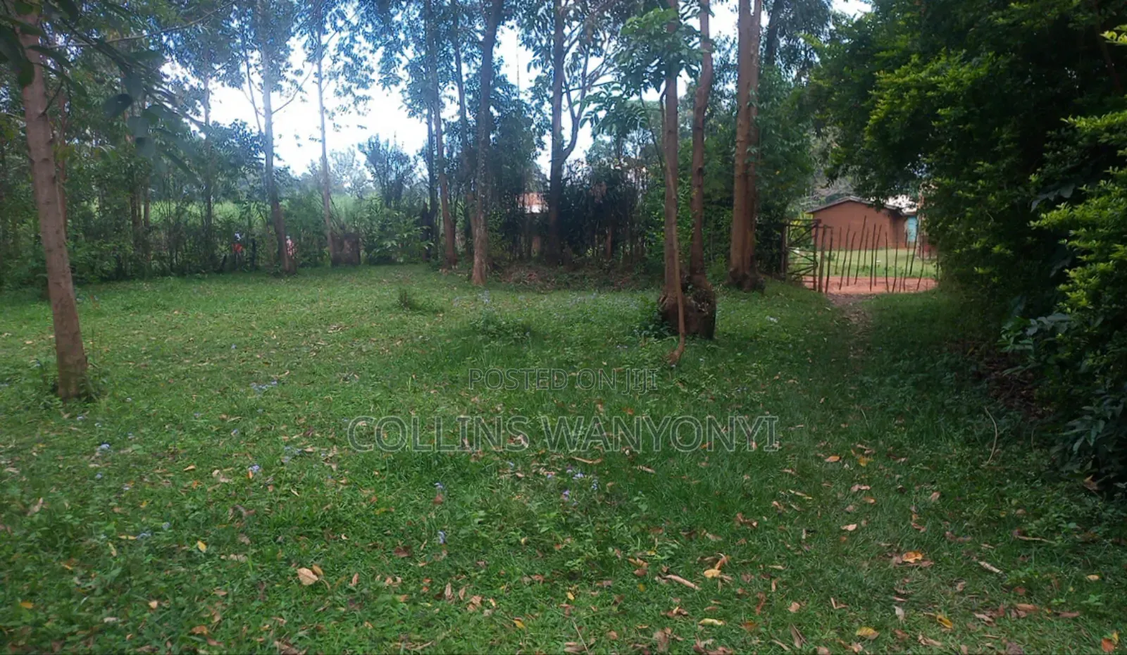 3 Plots for Sale 50by100 Per Plots Direct Transfer Title Bukembe
