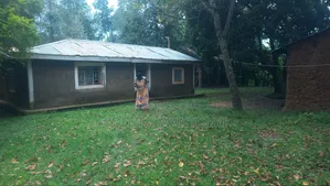 3 Plots for Sale 50by100 Per Plots Direct Transfer Title Bukembe