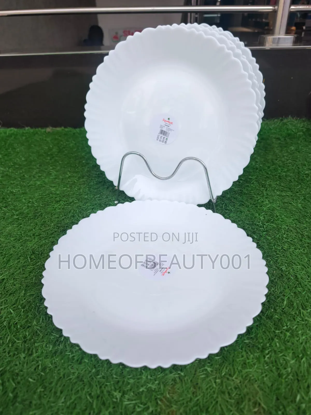 6 Dinner Plates