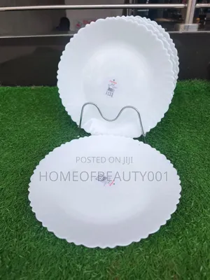 6 Dinner Plates