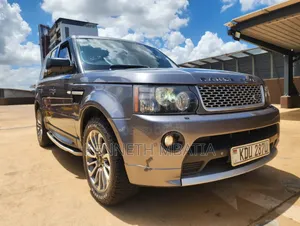 Rover Land 2009 Gray