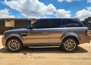 Rover Land 2009 Gray