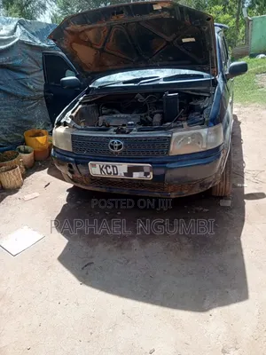 Toyota Probox 2009 Blue