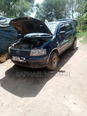 Toyota Probox 2009 Blue