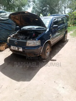 Toyota Probox 2009 Blue