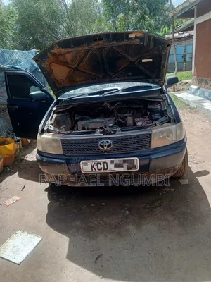 Toyota Probox 2009 Blue