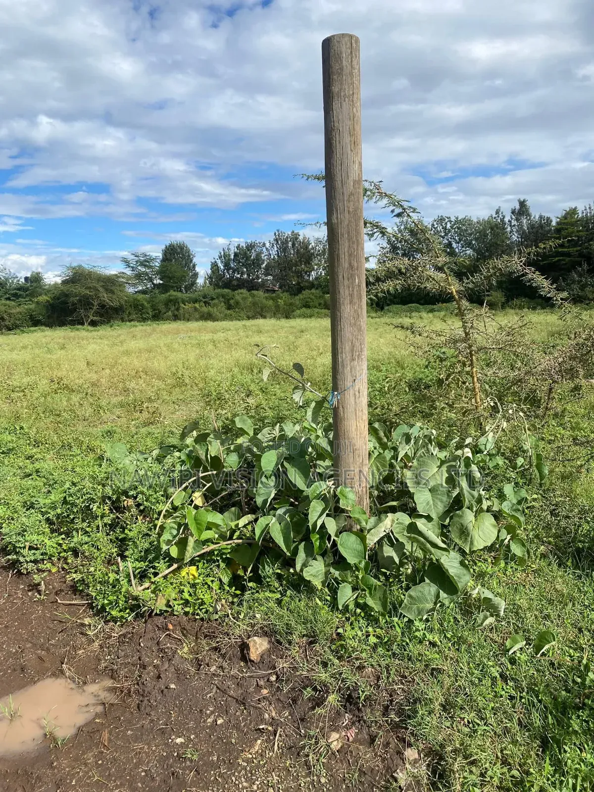 100*100 Prime Plots to Lease in Ruai