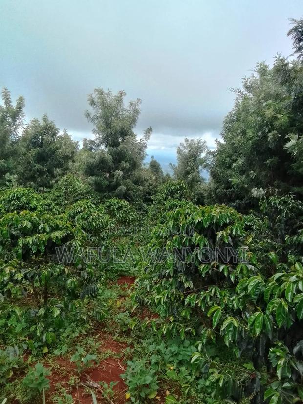 5 Acres on Sale Chelebei