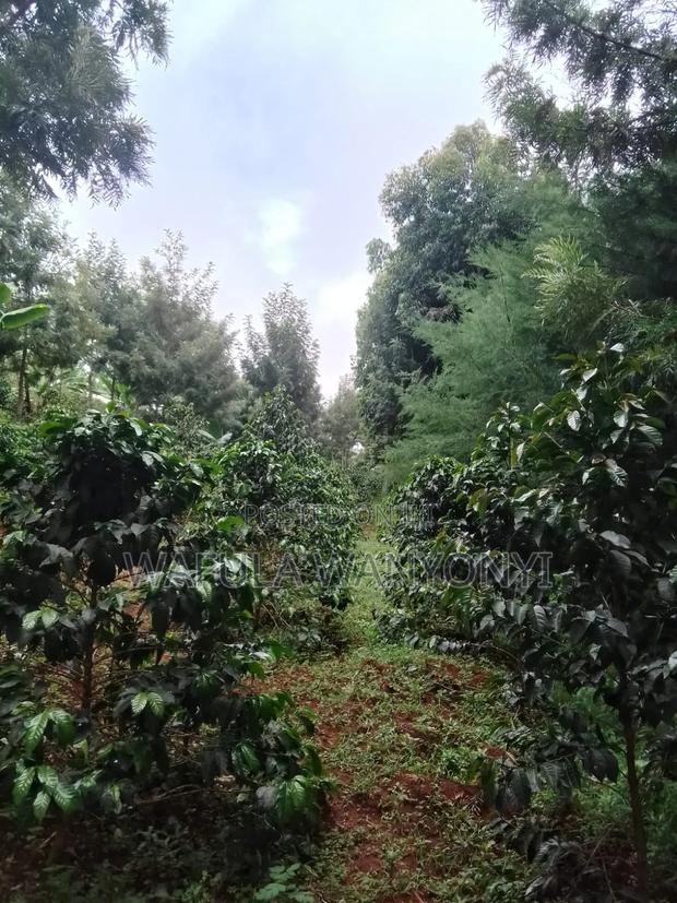 5 Acres on Sale Chelebei - thumbnail 3