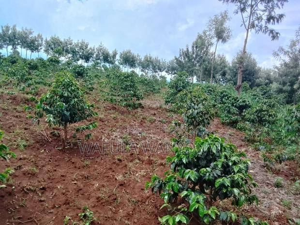5 Acres on Sale Chelebei - thumbnail 4