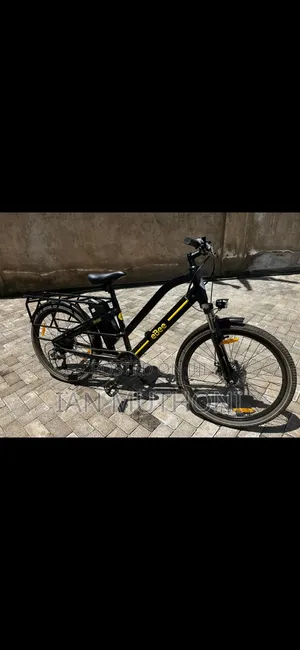 Electric Bike