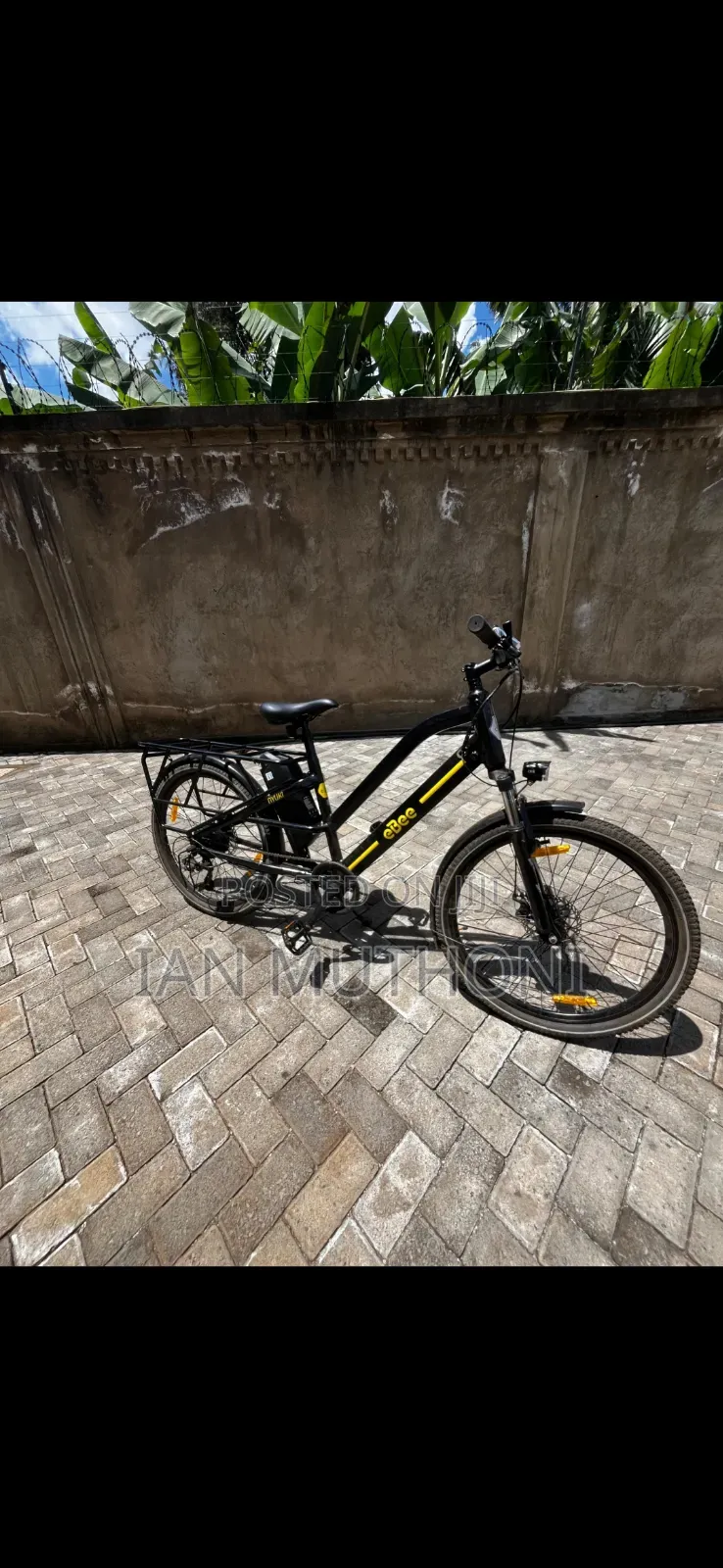 Electric Bike