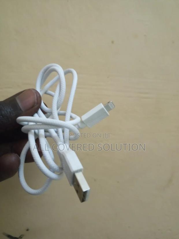 iPhone Cable