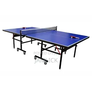 Professional Foldable Table Tennis Table - Gn