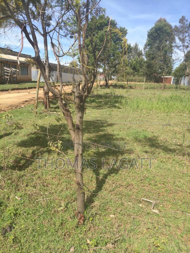 Eldoret Outspan Prime 1⁄8 Acre Plot on Sale - thumbnail 4