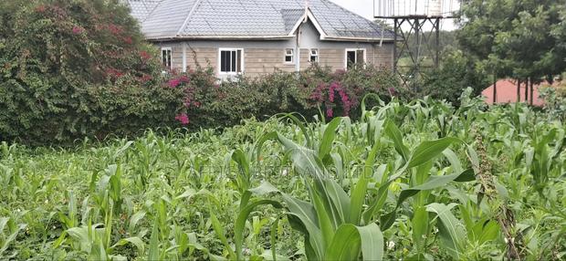 100x100 Plot for Sale – Thigio, Kiambu County