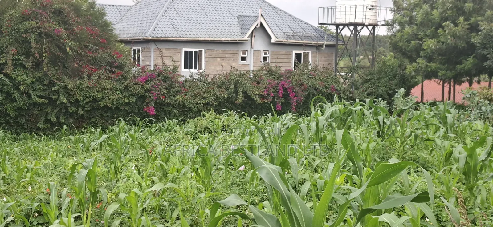 100x100 Plot for Sale – Thigio, Kiambu County