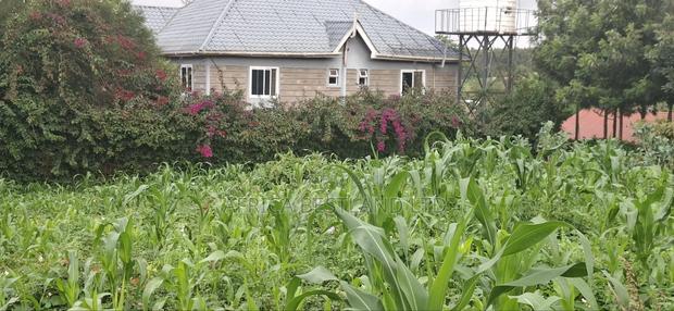 100x100 Plot for Sale – Thigio, Kiambu County - thumbnail 2
