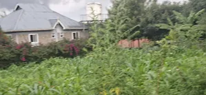 100x100 Plot for Sale – Thigio, Kiambu County
