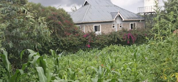 100x100 Plot for Sale – Thigio, Kiambu County - thumbnail 4