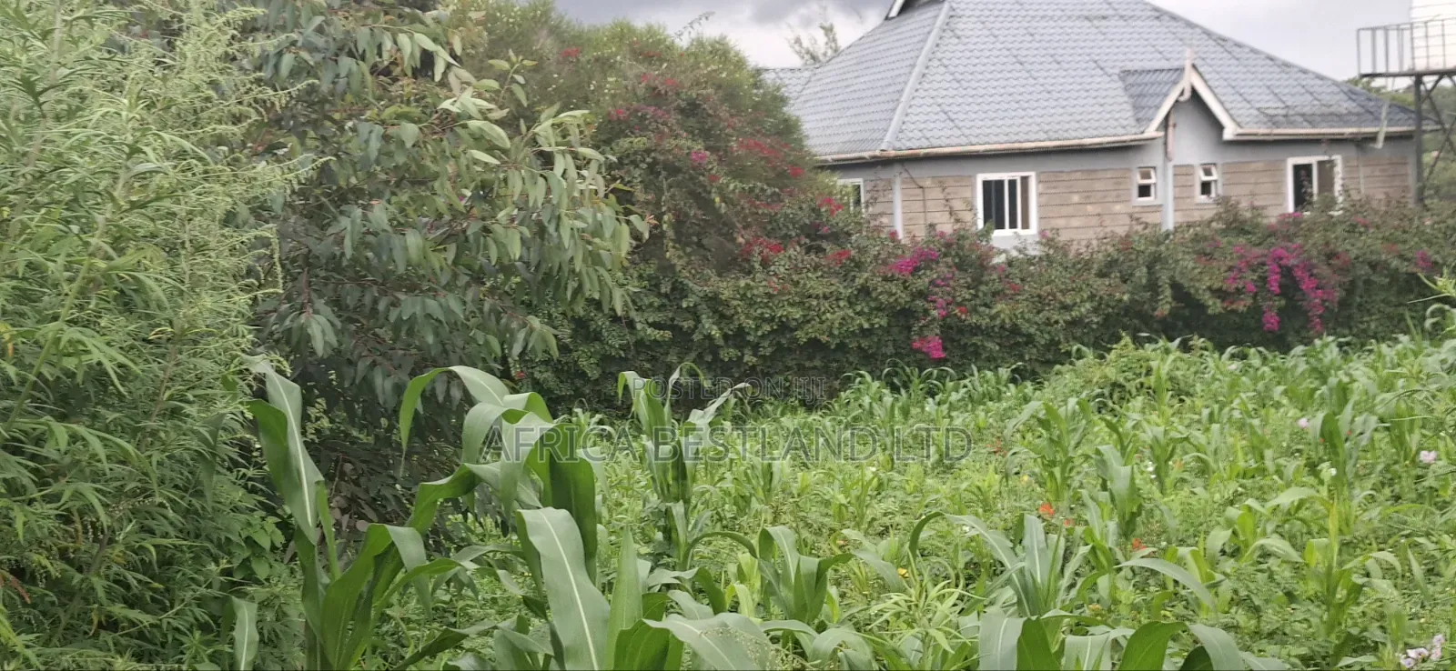 100x100 Plot for Sale – Thigio, Kiambu County