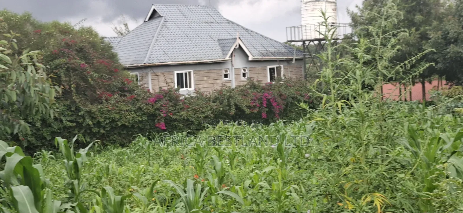 100x100 Plot for Sale – Thigio, Kiambu County