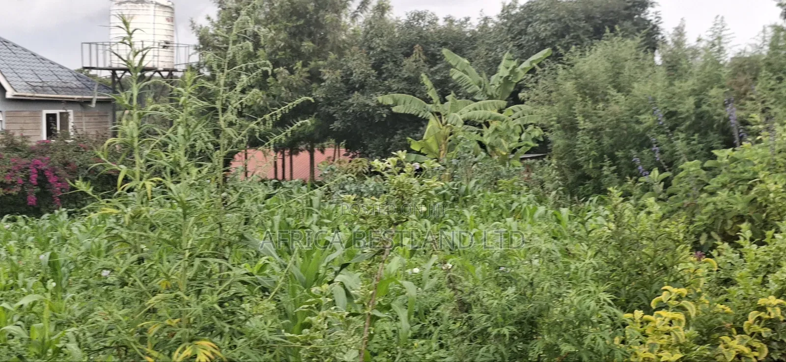 100x100 Plot for Sale – Thigio, Kiambu County