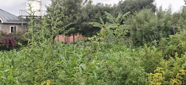 100x100 Plot for Sale – Thigio, Kiambu County - thumbnail 7