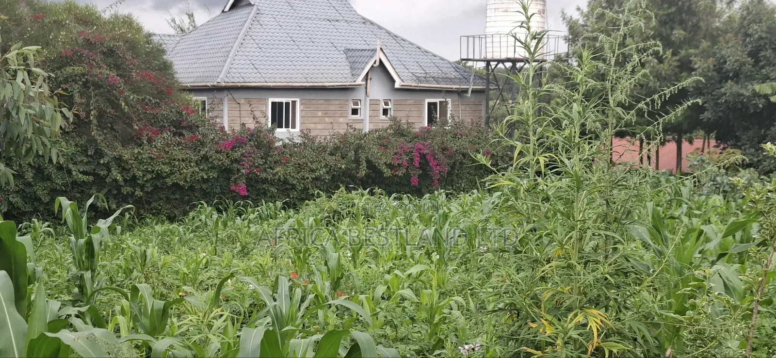 100x100 Plot for Sale – Thigio, Kiambu County