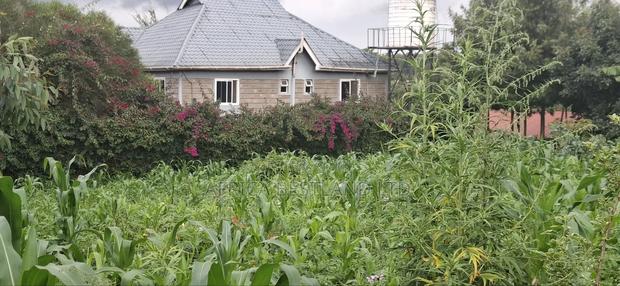 100x100 Plot for Sale – Thigio, Kiambu County - thumbnail 8